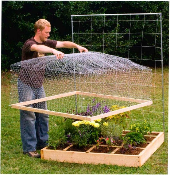 Raised Bed Gardens Pine Cove Water District