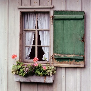 Rustic window box
